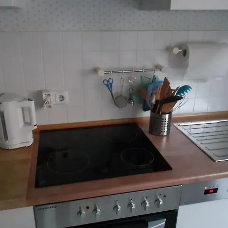 Neckarblick ハイデルベルク