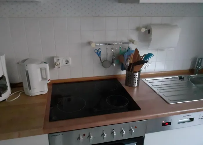 Neckarblick ハイデルベルク