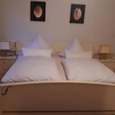 Neckarblick 아파트 하이델베르크