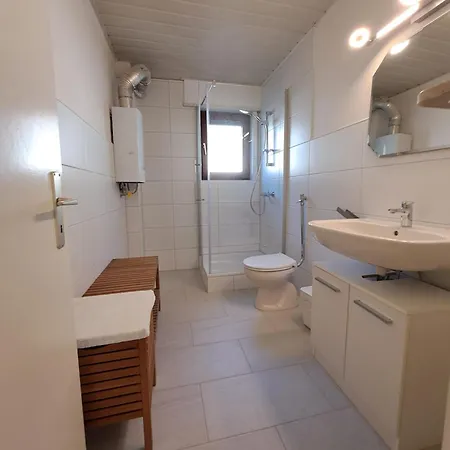 Neckarblick 하이델베르크