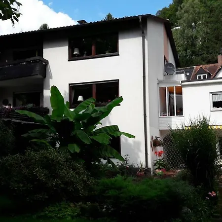 Neckarblick