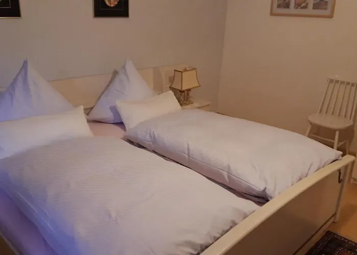 Neckarblick شقة *