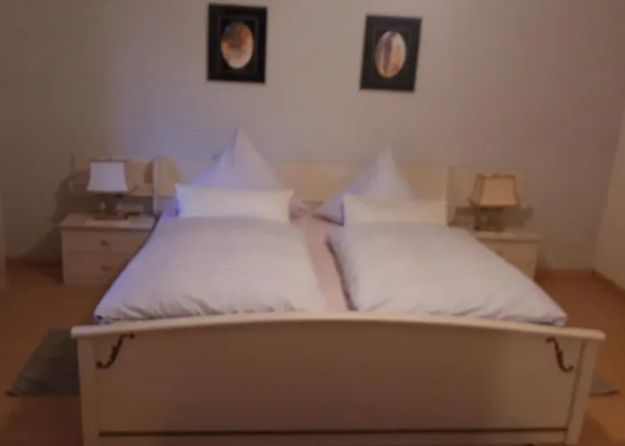 Neckarblick شقة هايدلبرغ