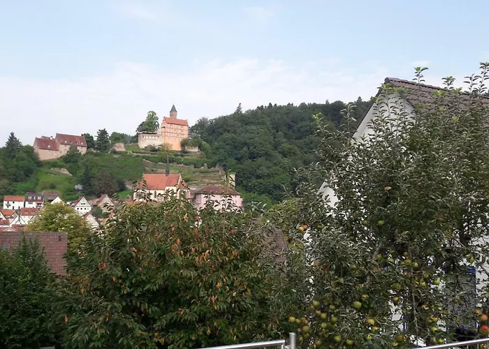 Neckarblick شقة *